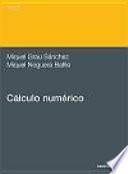 Cálculo numérico