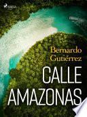 Calle Amazonas