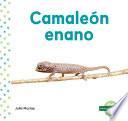 Camaleón enano (Leaf Chameleon)