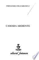Cámara ardiente