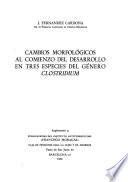 Cambios morfológicos al comienzo del desarrollo en tres especies del género Clostridium
