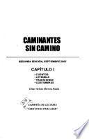 Caminantes sin camino