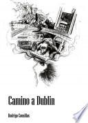 Camino a Dublin