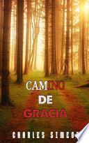 Camino De Gracia