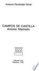Campos de Castilla