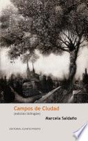 Campos de ciudad