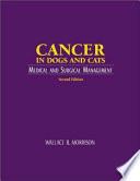 Cancer in Dogs and Cats