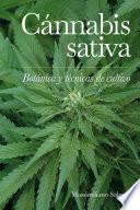Cànnabis sativa