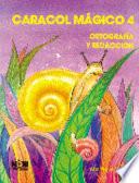 Caracol M├ígico 4