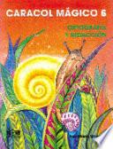 Caracol M├ígico 6