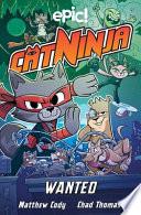Cat Ninja: Wanted, 3