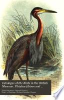 Catalogue of the Birds in the British Museum: Plataleœ (ibises and spoonbills) and Herodiones (herons and storks) by R.B. Sharpe. Steganopodes (cormorants, gannets, frigate-birds, tropic-birds, and pelicans) Pygopodes (divers and grebes) Alcœ (auks) and Impennes (penguins) by W.R. Ogilvie-Grant