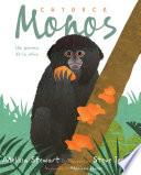 Catorce monos (Fourteen Monkeys)