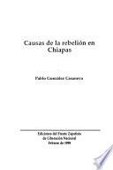 Causas de la rebelión en Chiapas