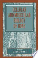 Cellular and Molecular Biology of Bone