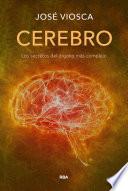 Cerebro