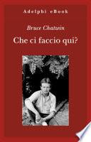 Che ci faccio qui?