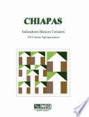 Chiapas. Indicadores básicos censales. VII Censos Agropecuarios, 1991