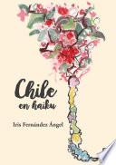 Chile en haiku