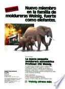 Chile forestal