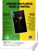 Chile forestal