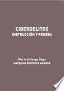 Ciberdelitos. Instrucción y prueba