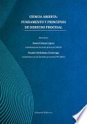 Ciencia abierta: fundamento y principios de derecho procesal