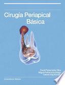 Cirugía periapical básica