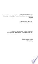 Ciudad-territorio-medio ambiente siglo XXI