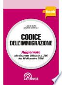 Codice dell'immigrazione