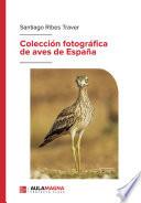Colección fotográfica de aves de España