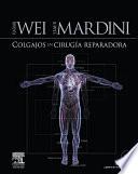 Colgajos en cirugía reparadora + acceso web