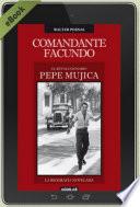 Comandante Facundo