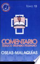 Comentario Bib. M.h. T. 13