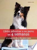 Cómo adiestrar a su perro en 4 semanas