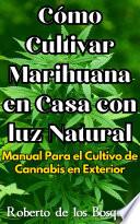 Cómo Cultivar Marihuana en Casa con luz Natural