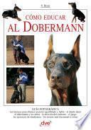 Cómo educar al Dobermann