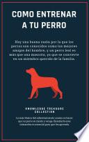 Como Entrenar A Tu Perro