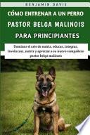 Cómo Entrenar A Un Perro Pastor Belga Malinois Para Principiantes