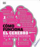 Cómo funciona el cerebro