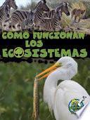 Cómo Funcionan Los Ecosistemas (How Ecosystems Work)