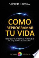 Como Reprogramar Tu Vida