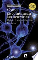 Cómo se comunican las neuronas