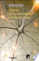 Cómo se comunican las neuronas