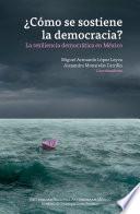¿Cómo se sostiene la democracia? La resiliencia democrática en México