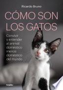 Cómo son los gatos