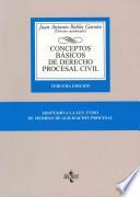 Conceptos básicos de Derecho procesal civil