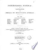 Conchologia Iconica, Or, Illustrations of the Shells of Molluscous Animals