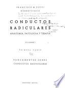 Conductos radiculares