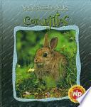 Conejitos (Little Rabbits)